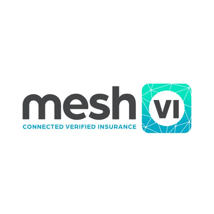 meshVI company logo