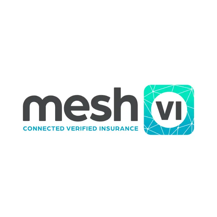 meshVI company logo